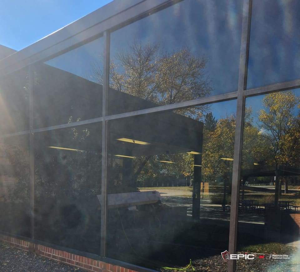 A dark glass corner of a school building in bright sun, trees reflected in the glass, a green hose on the gravel